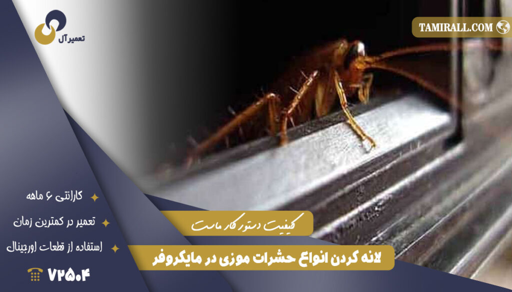 لانه کردن انواع حشرات موزی در مایکروفر