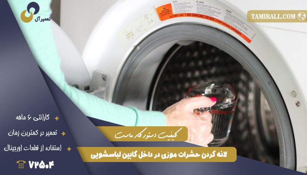 لانه کردن حشرات موزی در داخل کابین لباسشویی