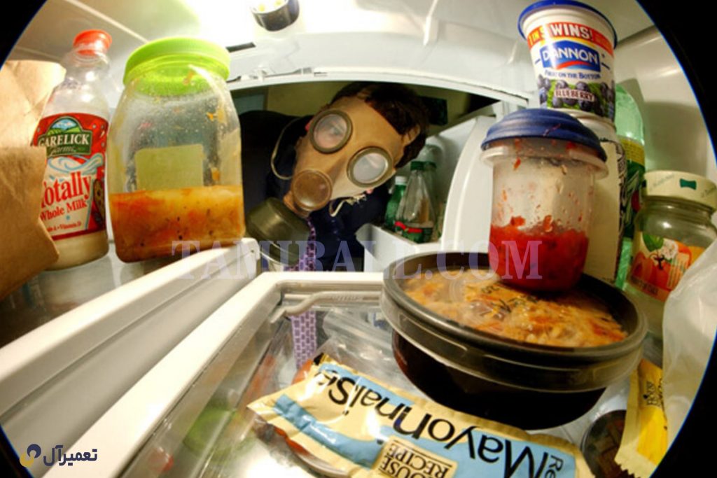 جلوگیری از ایجاد کپک مواد غذایی در یخچال